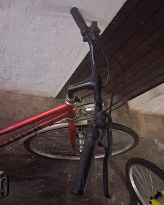 bici da passeggio donna