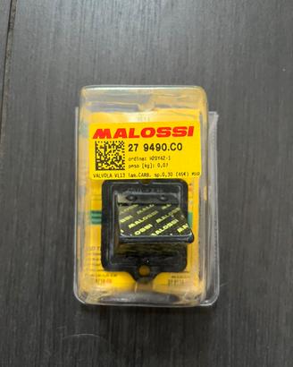 Pacco Lamellare Malossi VL13 PIAGGIO (Nuova)
