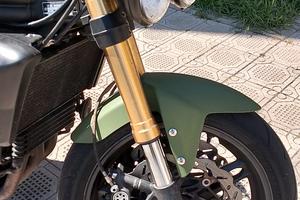 Triumph Speed triple 1050