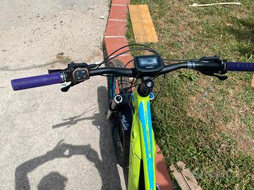 E bike