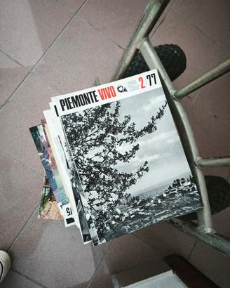 copie di Piemonte Vivo