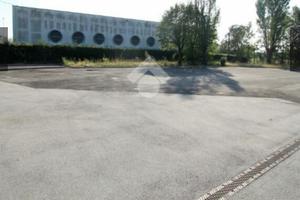 Attività commerciale