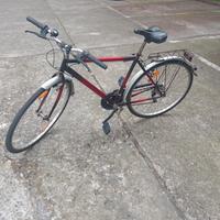 Bicicletta uomo citybike