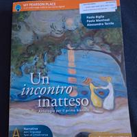 Un incontro inatteso 