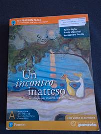 Un incontro inatteso 