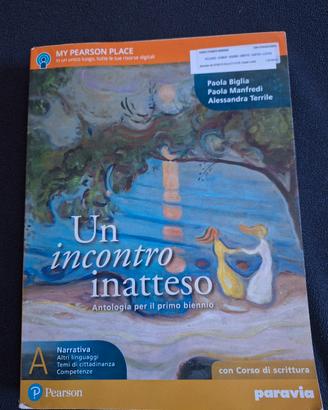 Un incontro inatteso 