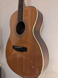 Recording King R0-227 torch series