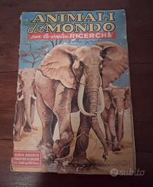 Album di figurine "Animali del mondo"