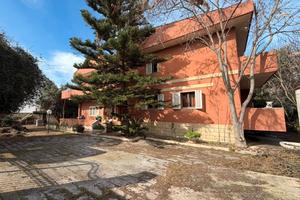 Rif.87 Via Pesce Violino