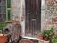 Immagine 3