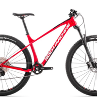 Mtb Rock Machine nuova carbonio 29' taglia XL