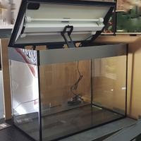 Acquario Ciano Emotions 70 da 100 litri