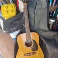 Chitarra custica Johnson