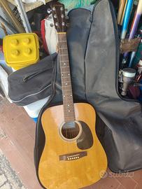 Chitarra custica Johnson