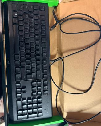 Tastiera RAZER CYNOSA CHROMA