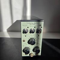 BRUEL & KJAER 2626 Conditioning Amplifier