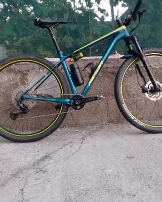 mtb in carbonio big nine 