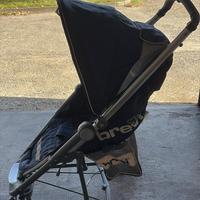 Passeggino della brevi