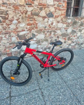 mtb 24 pollici 