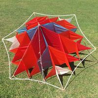 acquilone - Prof. Waldof´s box kite
