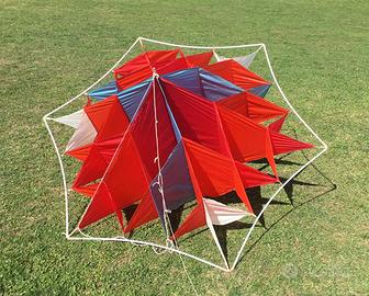 acquilone - Prof. Waldof´s box kite