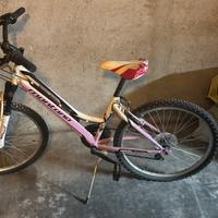 Mountain bike