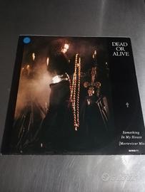 Dead or Alive, "Something in my house"