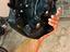 Immagine 5