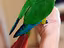 Immagine 5