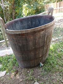Biconcia da vino