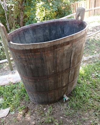 Biconcia da vino