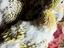 Immagine 3