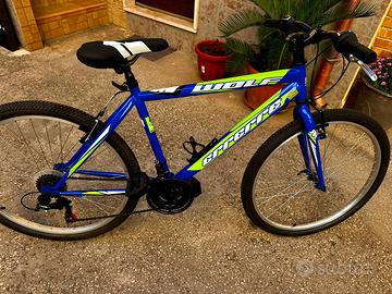 MTB  ERRERRE