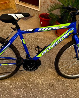 MTB  ERRERRE