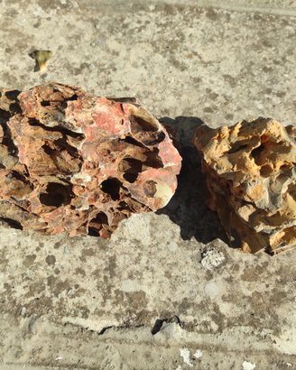 Rocce dragon Stone per acquario