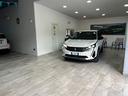 peugeot-3008-bluehdi-130-s-s-eat8-gt-iva-esposta