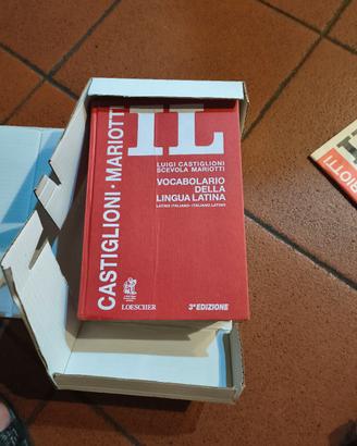 libri scolastici vocabolario 