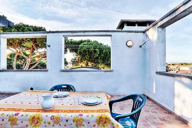 Cecina Mare, pineta, 2,3 vani giardino e terrazza