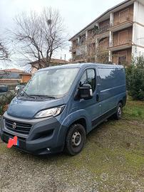 Fiat ducato l1 h1
