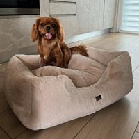 cuccia per cani anteprima