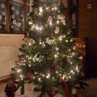 Albero di Natale 