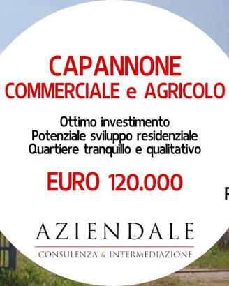 Immobile di 200 m² con 2 locali a Bovolone