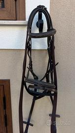 Testiera Winner taglia Pony