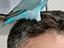 Immagine 1