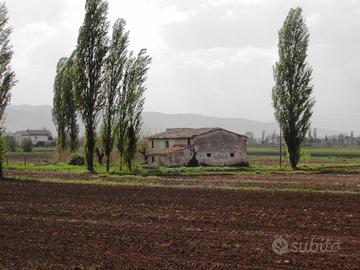 Rustico / Casale di 200 m² a Cannara