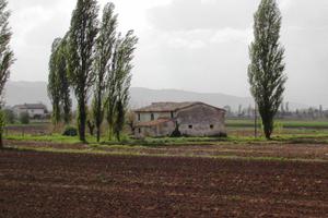 Rustico / Casale di 200 m² a Cannara