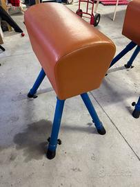 Cavalline ginnastica