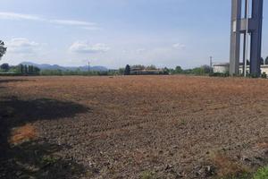Terreno di 28000 m² a Cartura