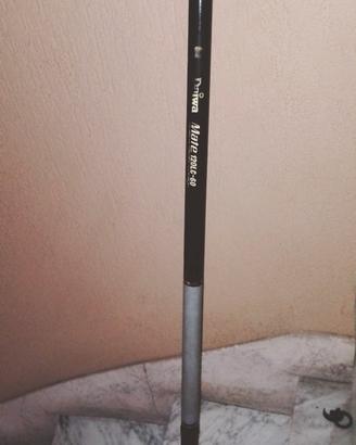 canna fissa