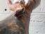 Immagine 3
